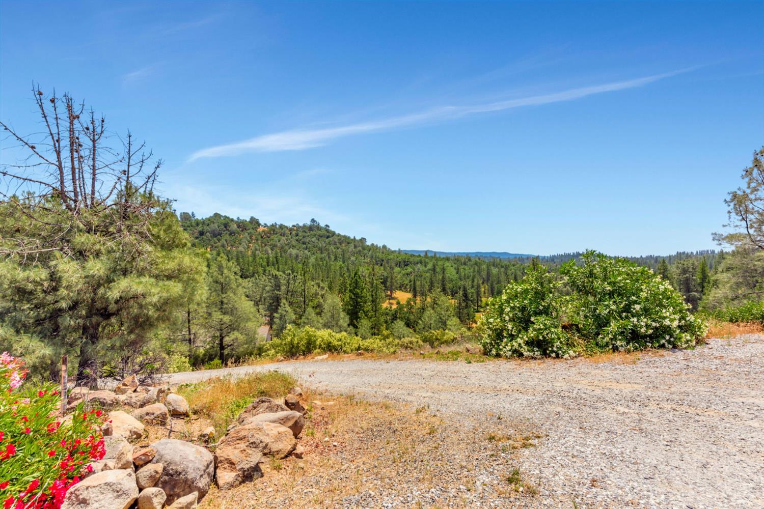 Newtown Road, Placerville, California image 3