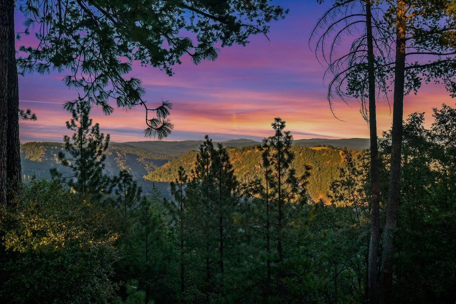 Gold View Way, Pine Grove, California image 3