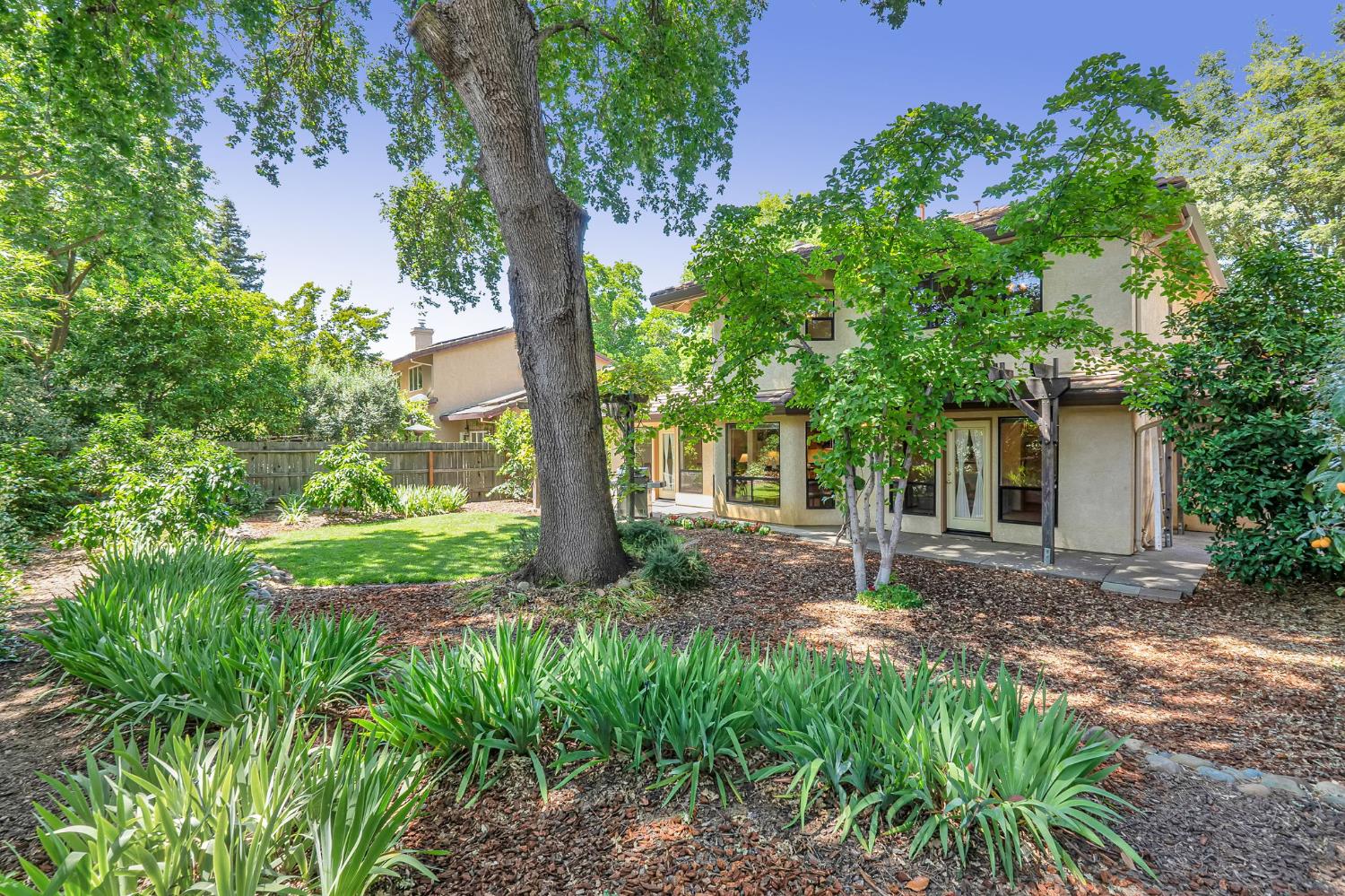 Bryce Lane, Davis, California image 31