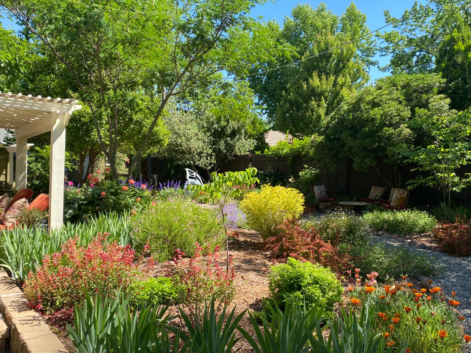 Mahala Drive, Carmichael, California image 39