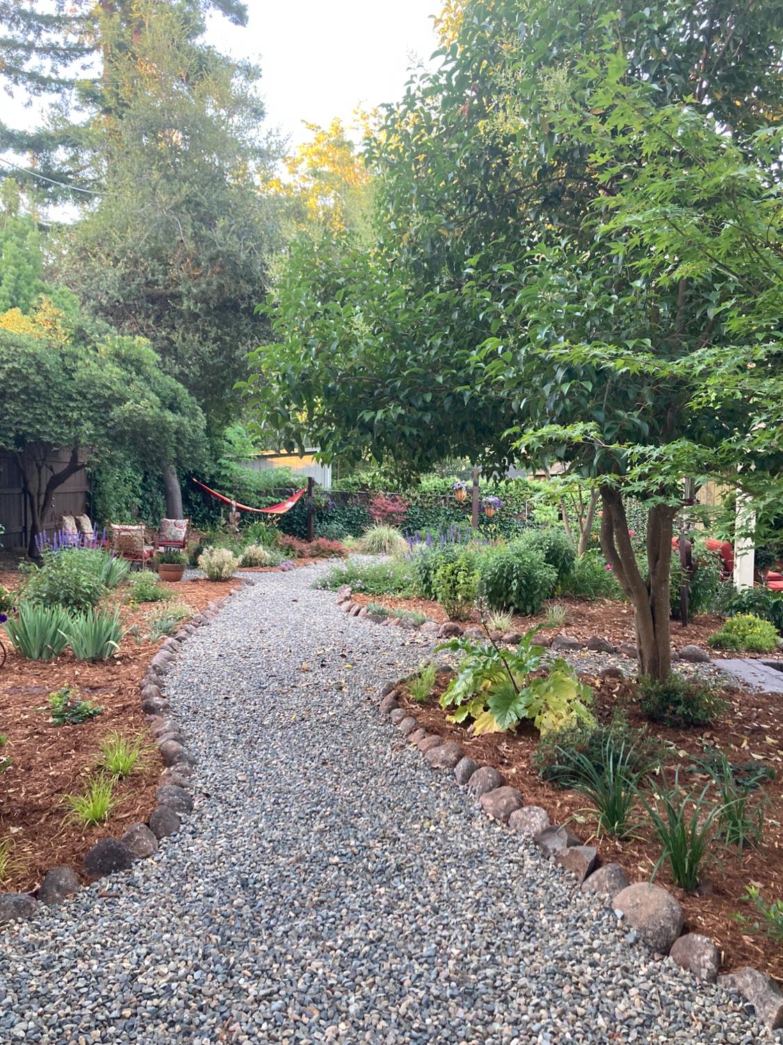 Mahala Drive, Carmichael, California image 41