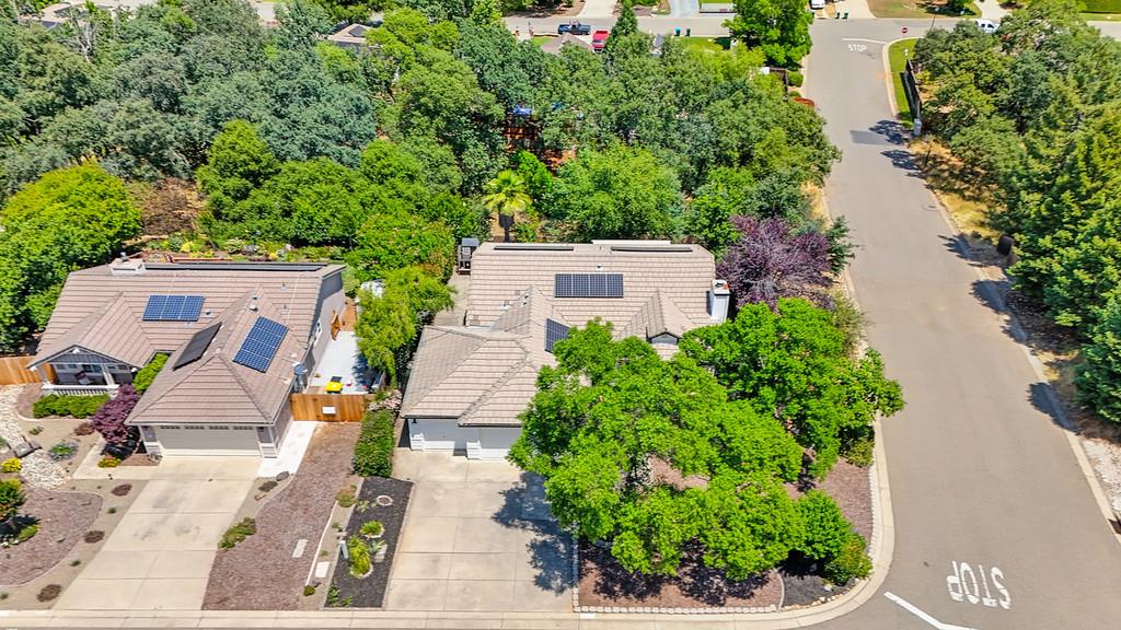 Watsonia Glen Drive, El Dorado Hills, California image 3