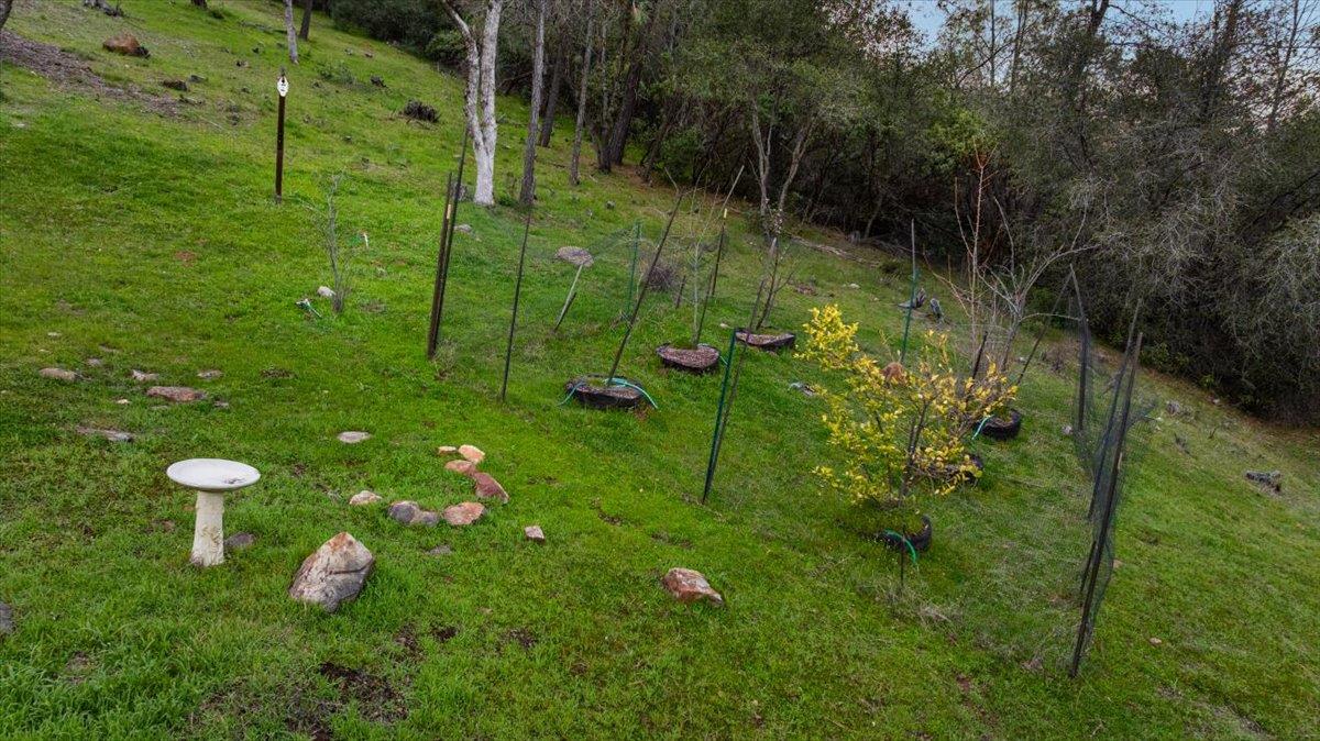 17947 Piper Lane, Penn Valley, California image 32