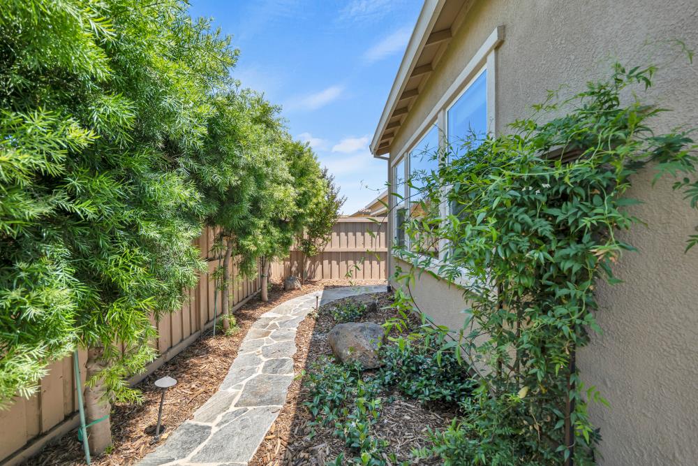 Don River Lane, Sacramento, California image 47