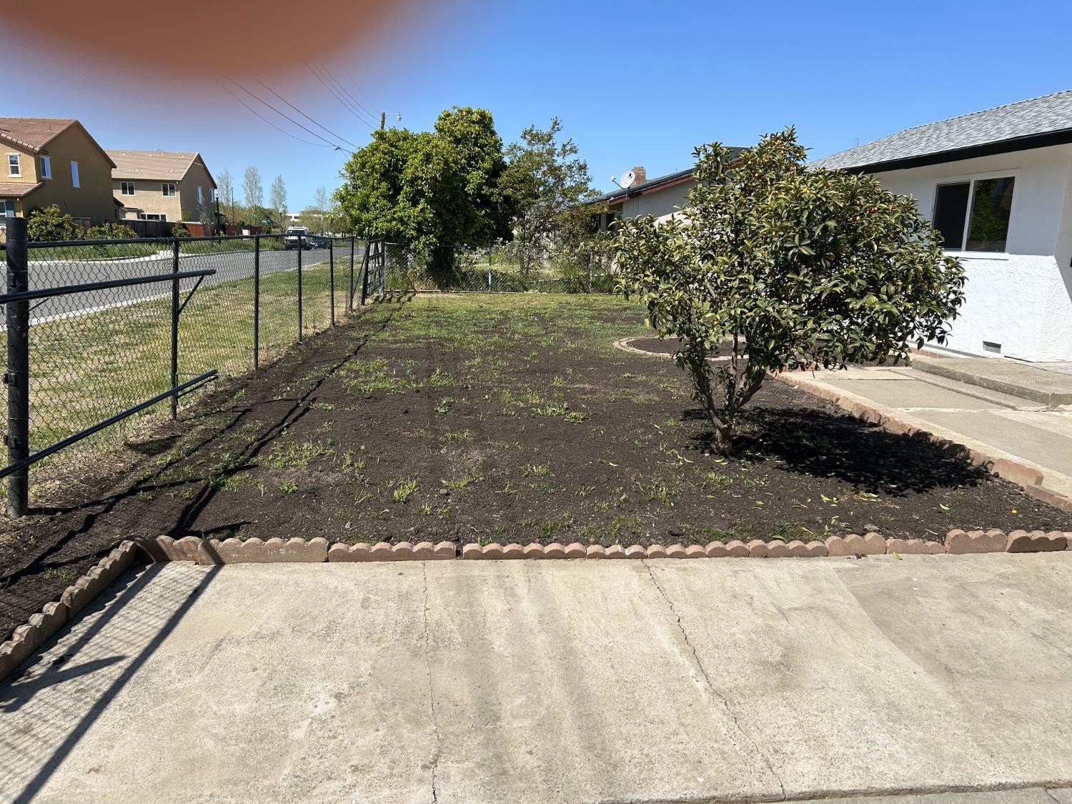 Cotton Lane, Elk Grove, California image 3