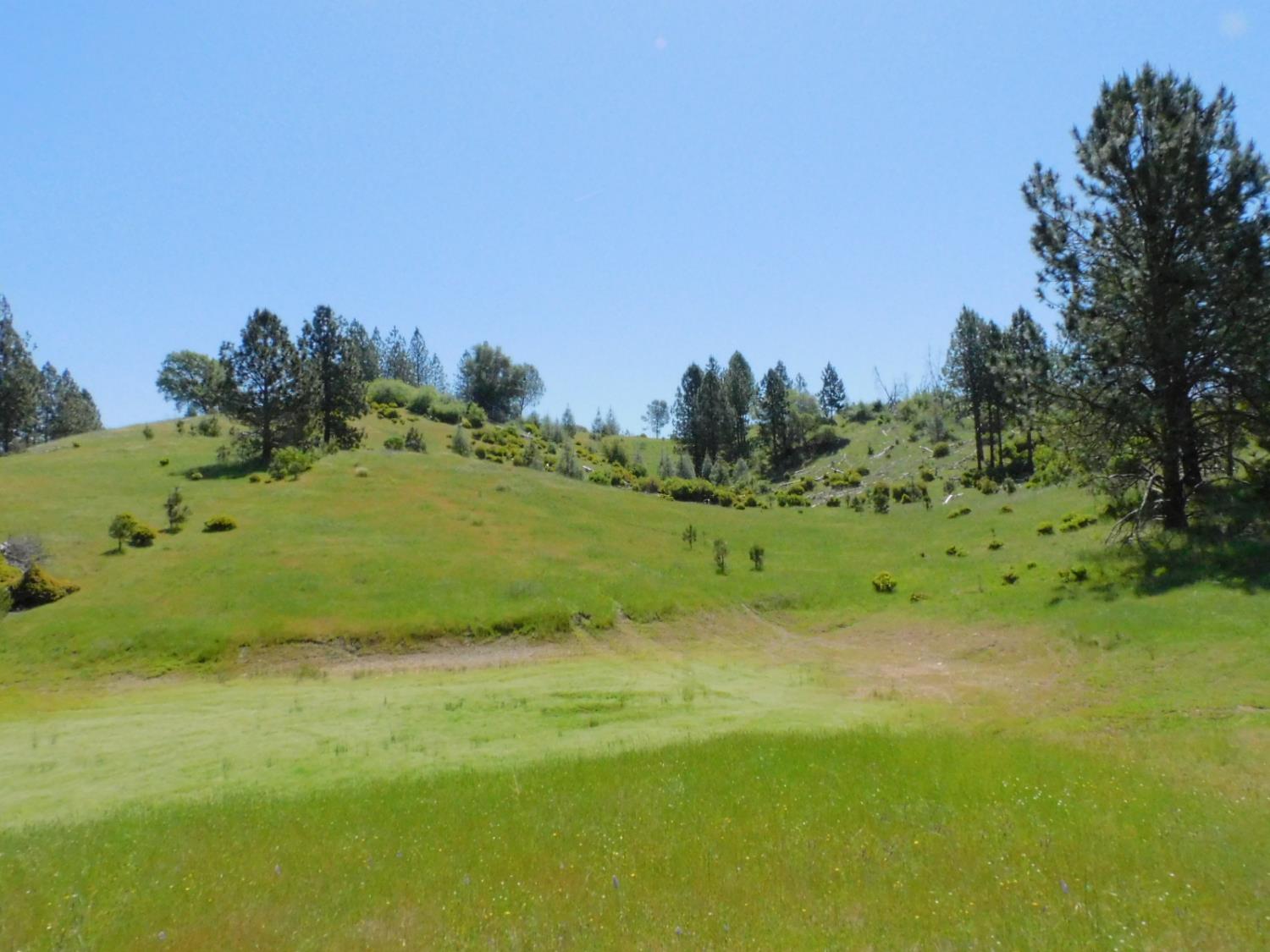 Freshwater Lane, El Dorado, California image 5