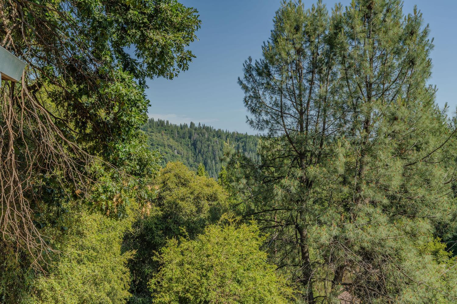 Delores Court, Pioneer, California image 7