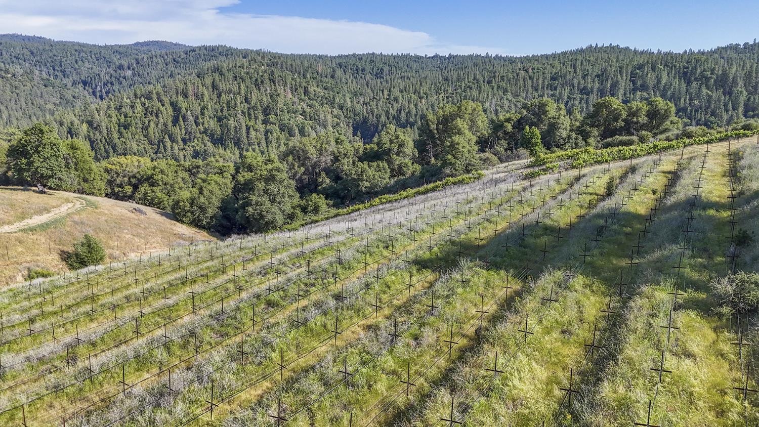 Happy Valley Road, Somerset, California image 13