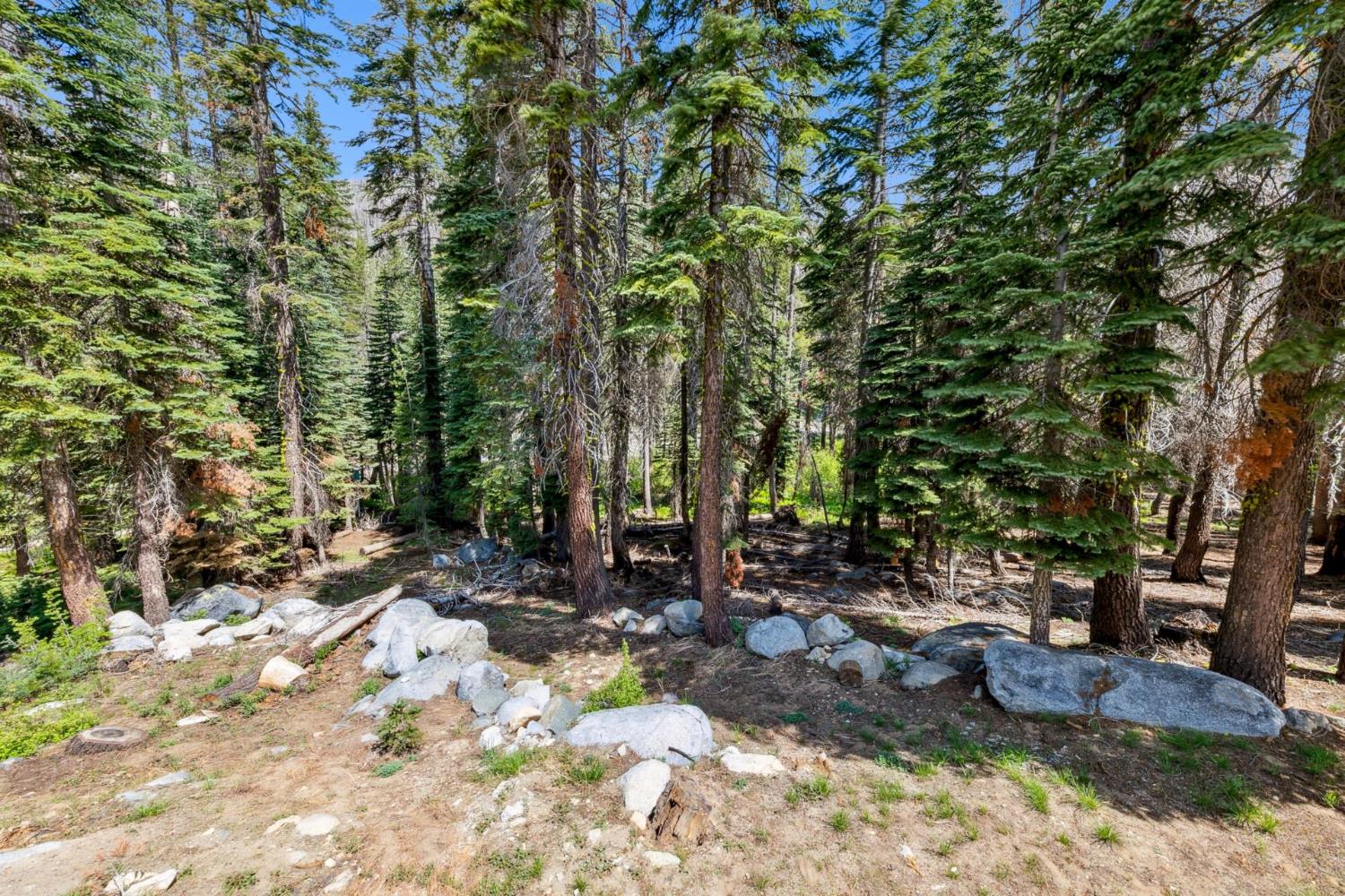 Huckleberry Heights Road, Echo Lake, California image 20