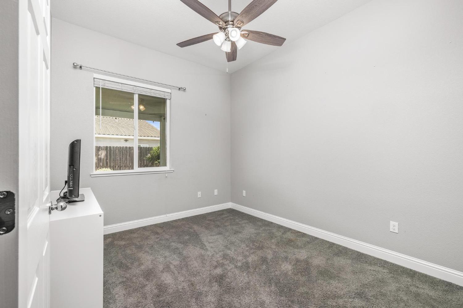 Peach, Manteca, California image 25