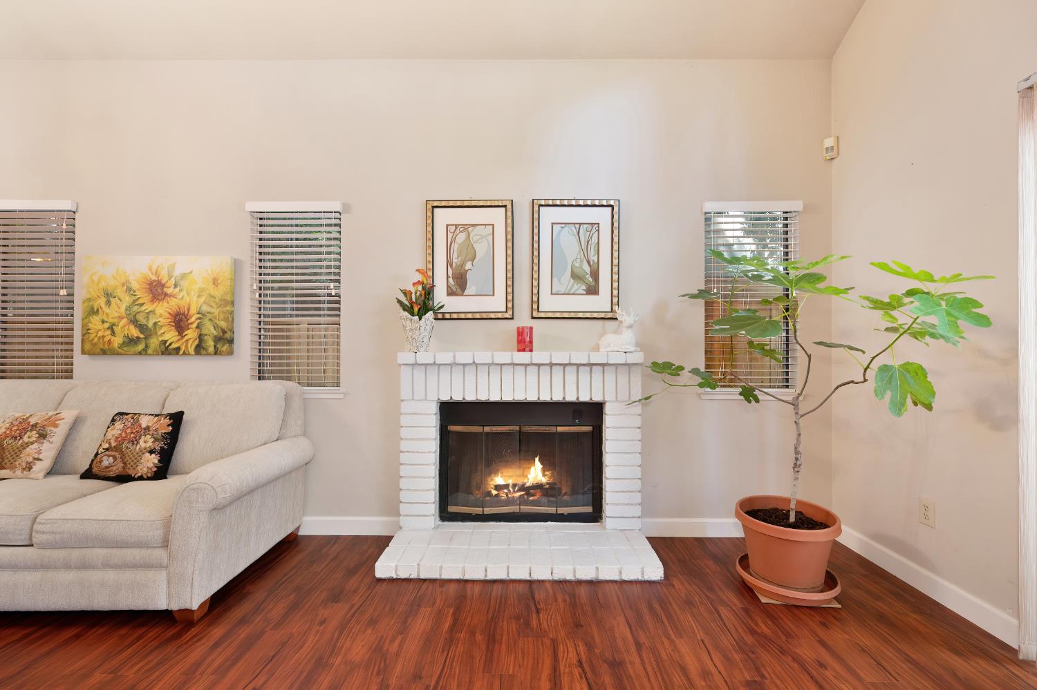 Photo #12: 225072238 Listing: Photo #12