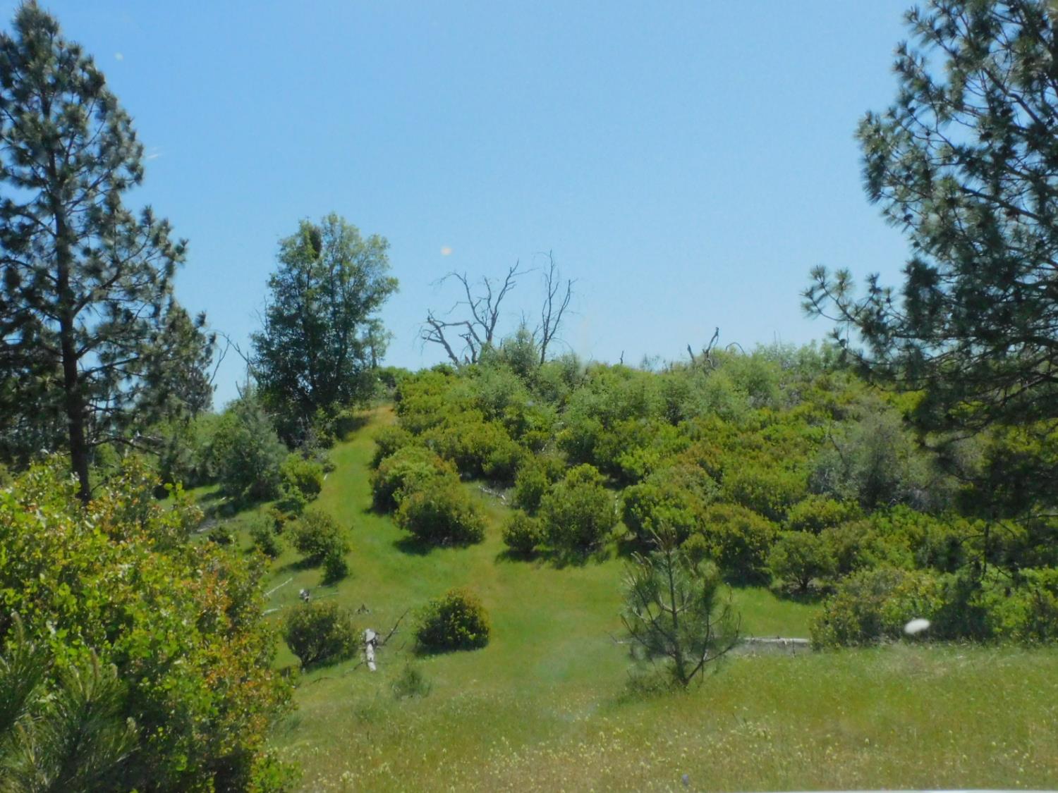 Freshwater Lane, El Dorado, California image 11