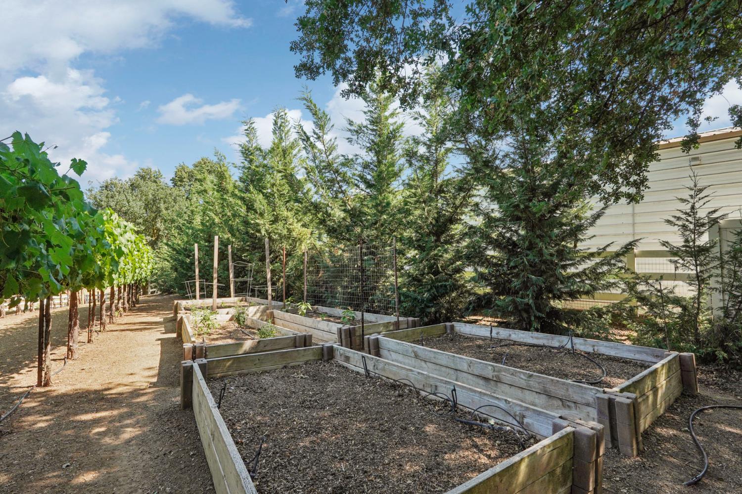 Detail Gallery Image 56 of 74 For 24646 Meadow Creek Ct, Acampo,  CA 95220 - 4 Beds | 4/1 Baths