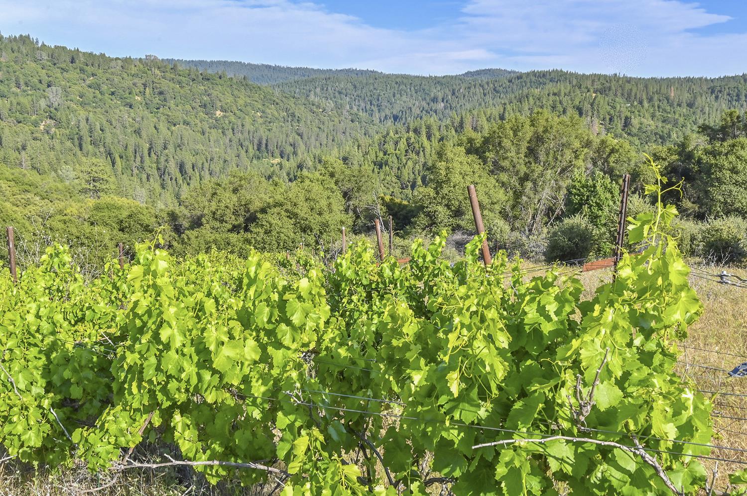 Happy Valley Road, Somerset, California image 1