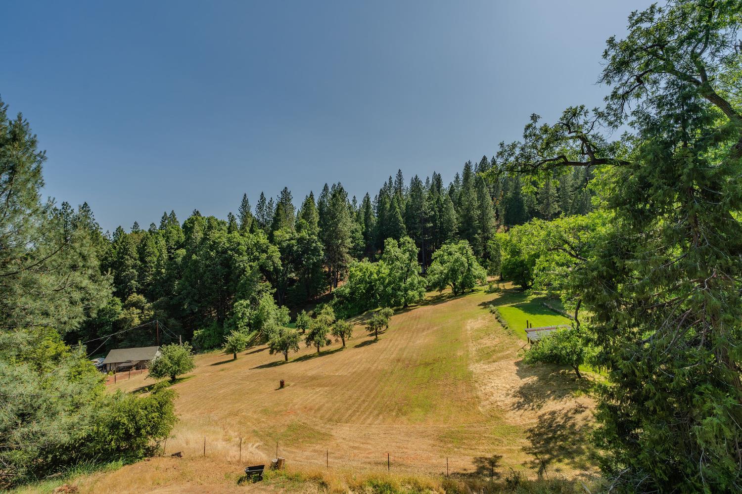 Delores Court, Pioneer, California image 6
