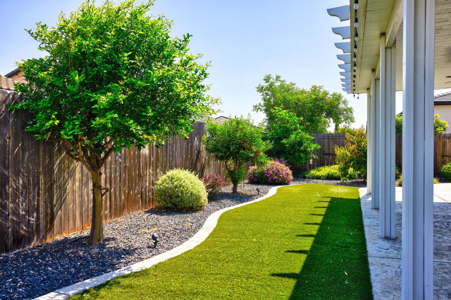 Peach, Manteca, California image 35
