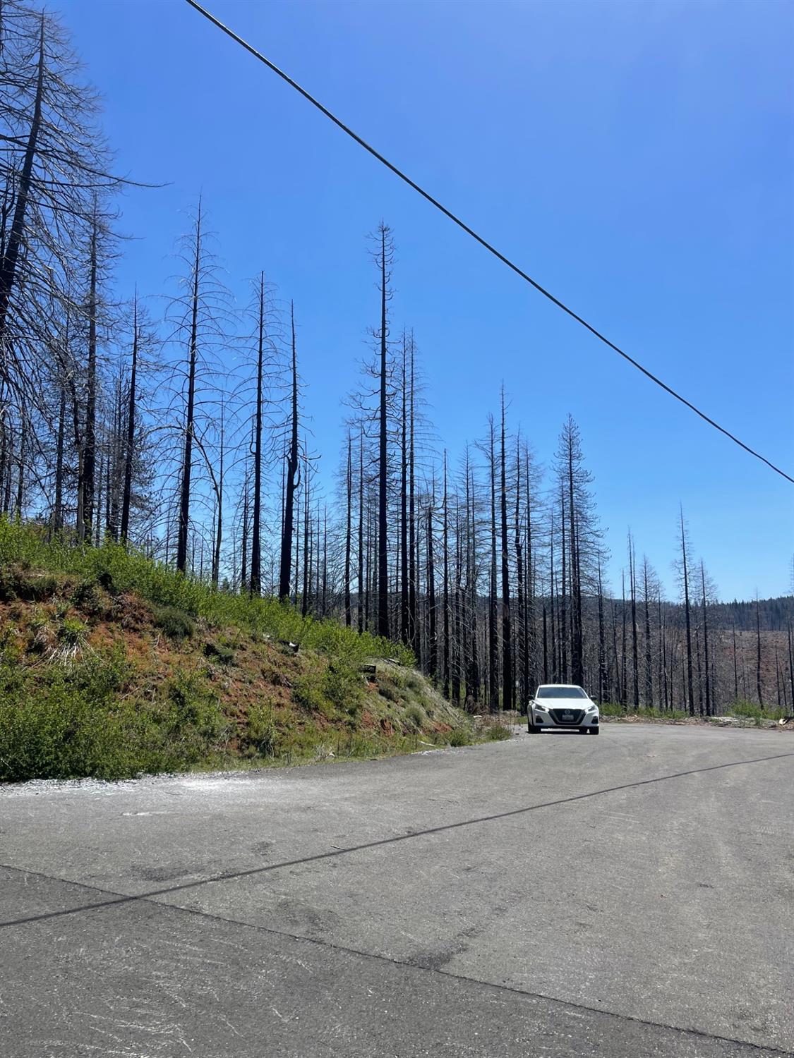 Deerwood Court, Grizzly Flats, California image 4