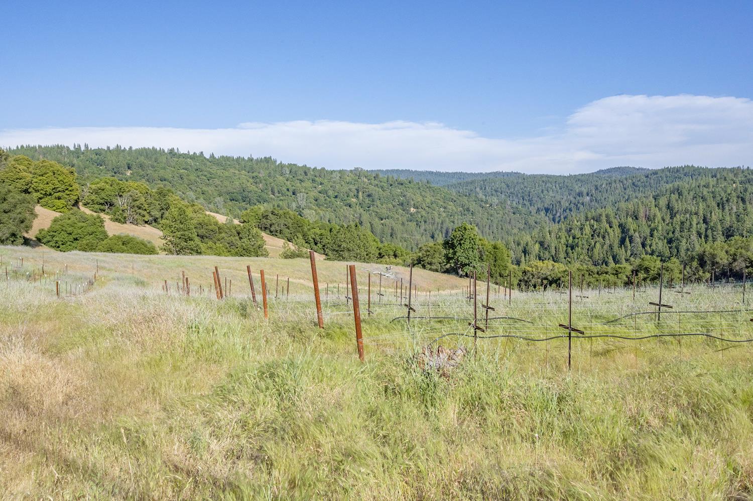 Happy Valley Road, Somerset, California image 38