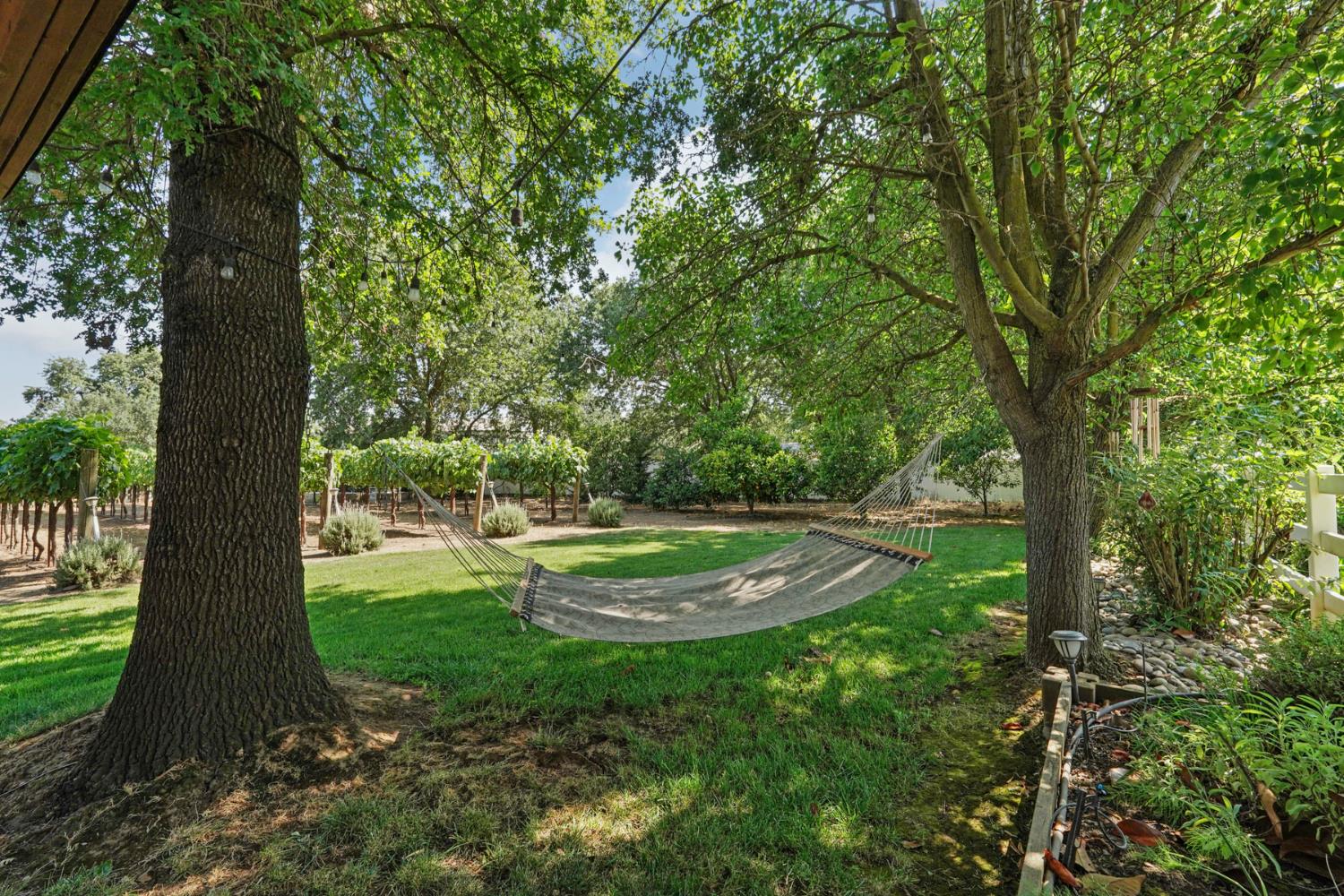Detail Gallery Image 54 of 74 For 24646 Meadow Creek Ct, Acampo,  CA 95220 - 4 Beds | 4/1 Baths