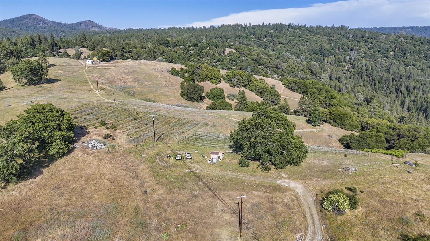 Happy Valley Road, Somerset, California image 21