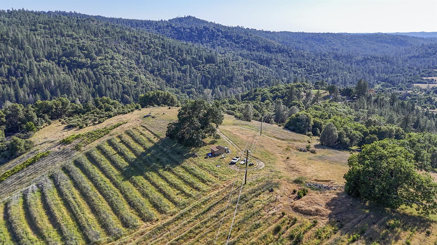 Happy Valley Road, Somerset, California image 10