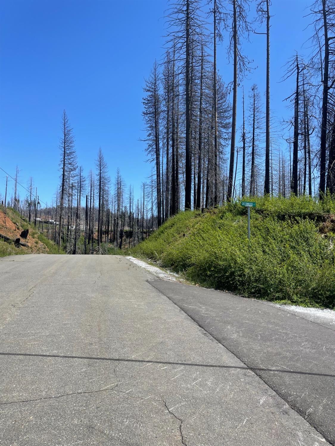Deerwood Court, Grizzly Flats, California image 3