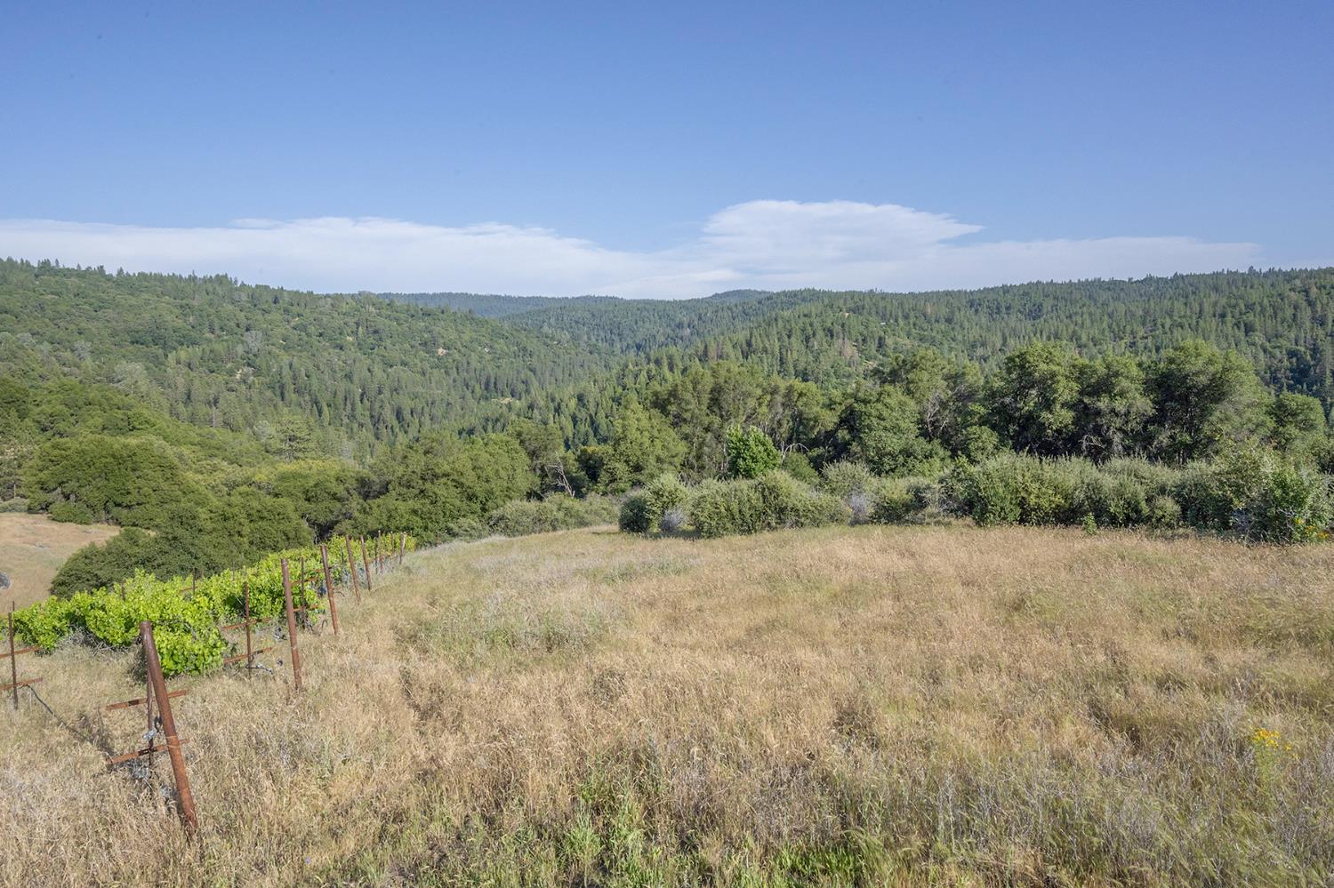 Happy Valley Road, Somerset, California image 42