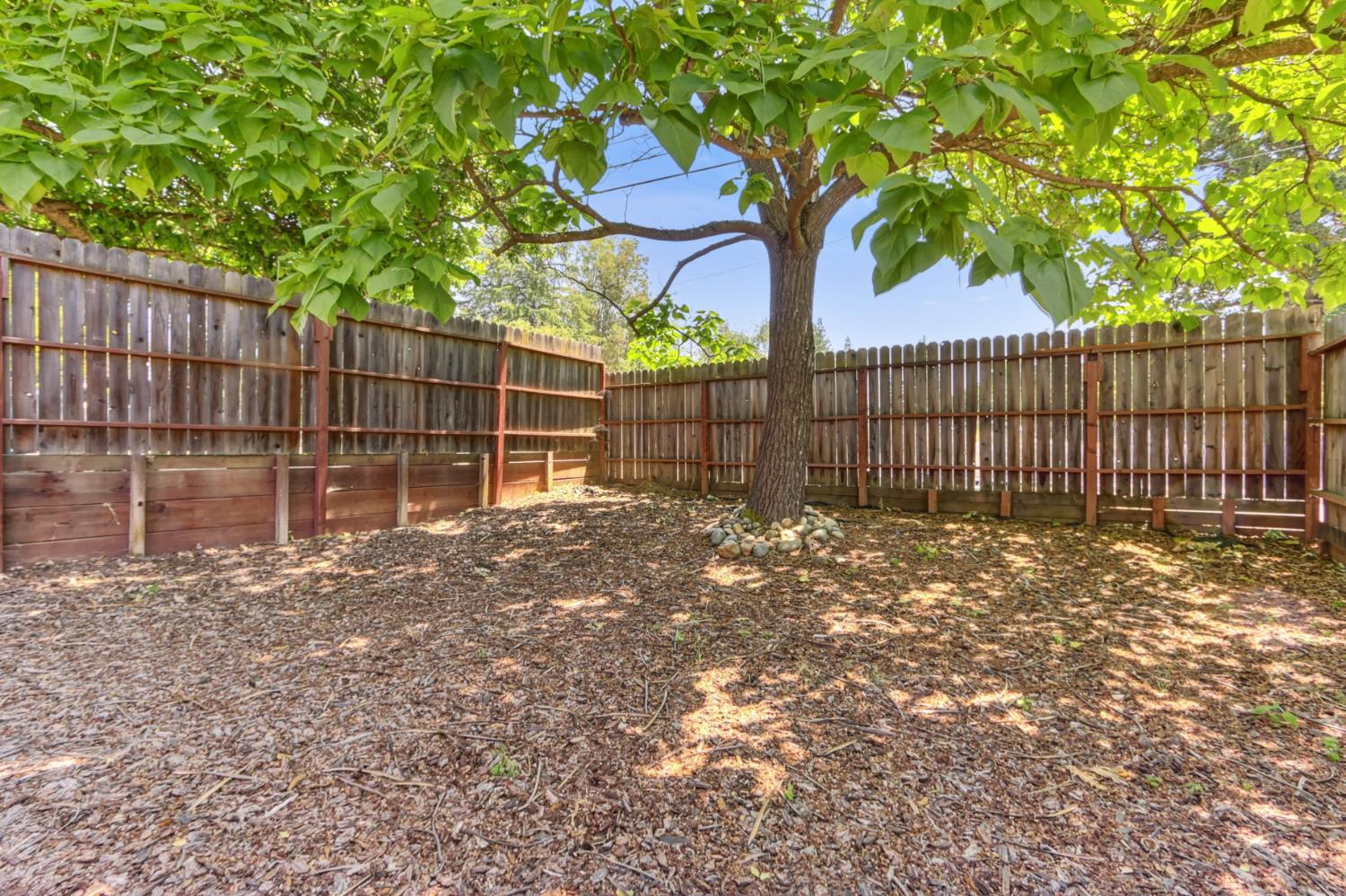 Oak Avenue, Orangevale, California image 6