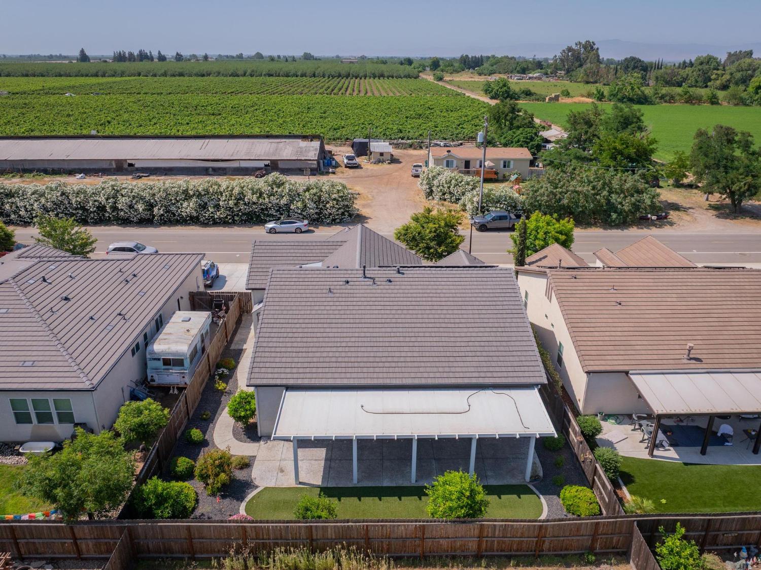 Peach, Manteca, California image 39