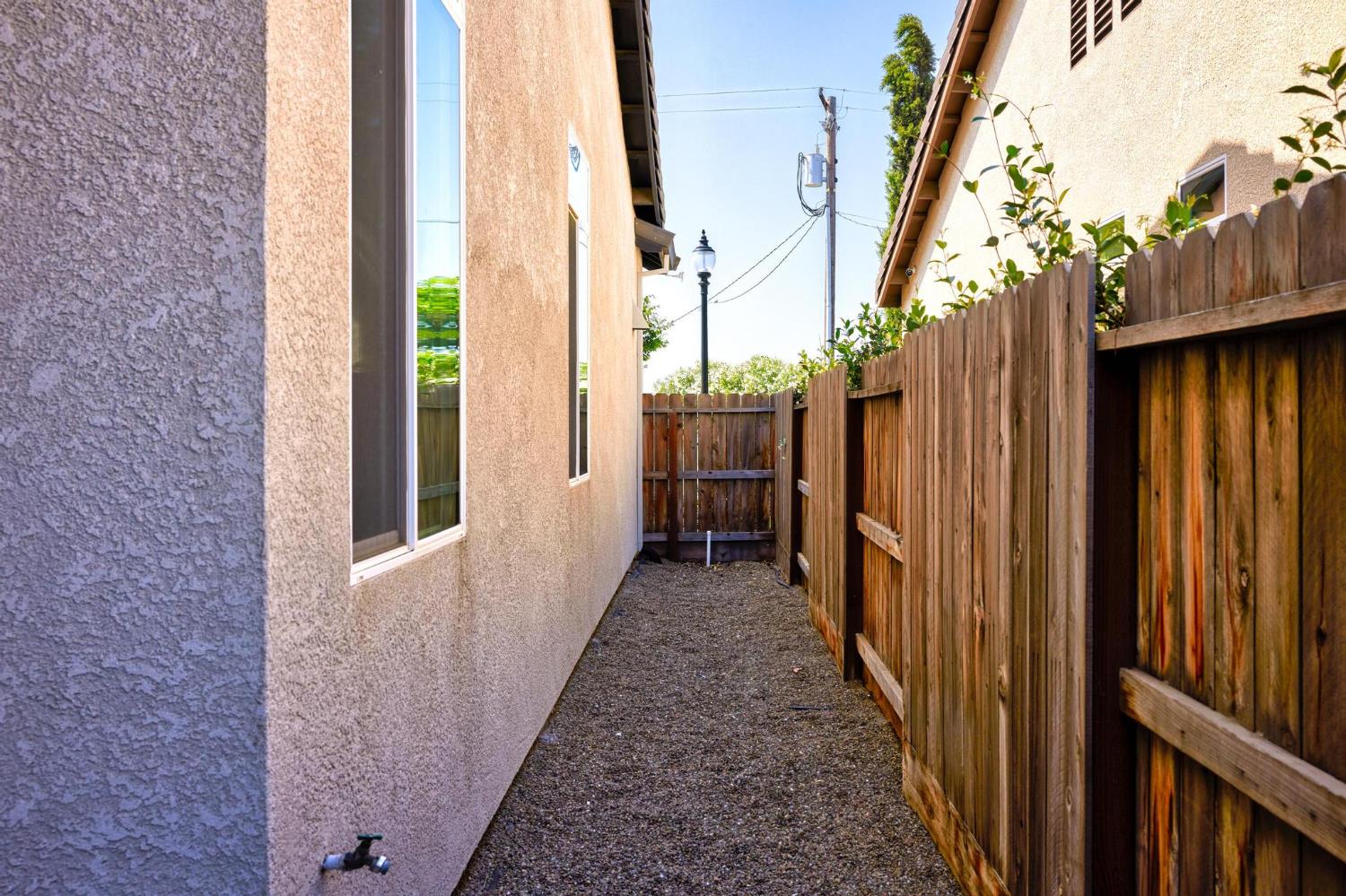 Peach, Manteca, California image 38