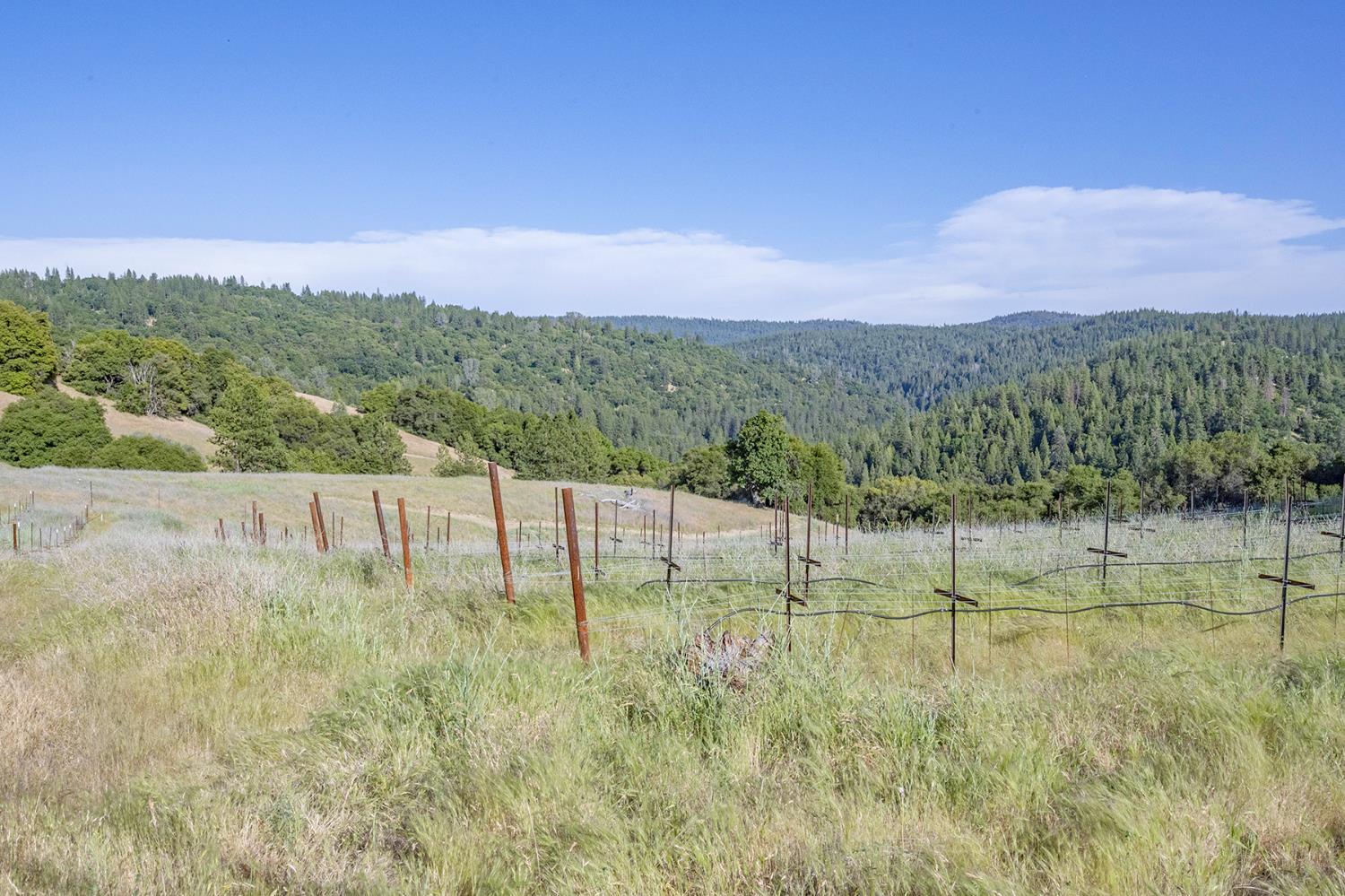 Happy Valley Road, Somerset, California image 37