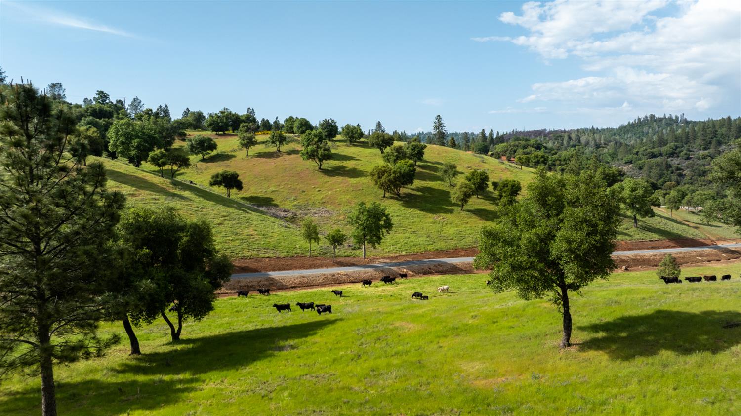 Detail Gallery Image 7 of 47 For 5160 Scarlet Oak, Greenwood,  CA 95635 - 3 Beds | 2 Baths