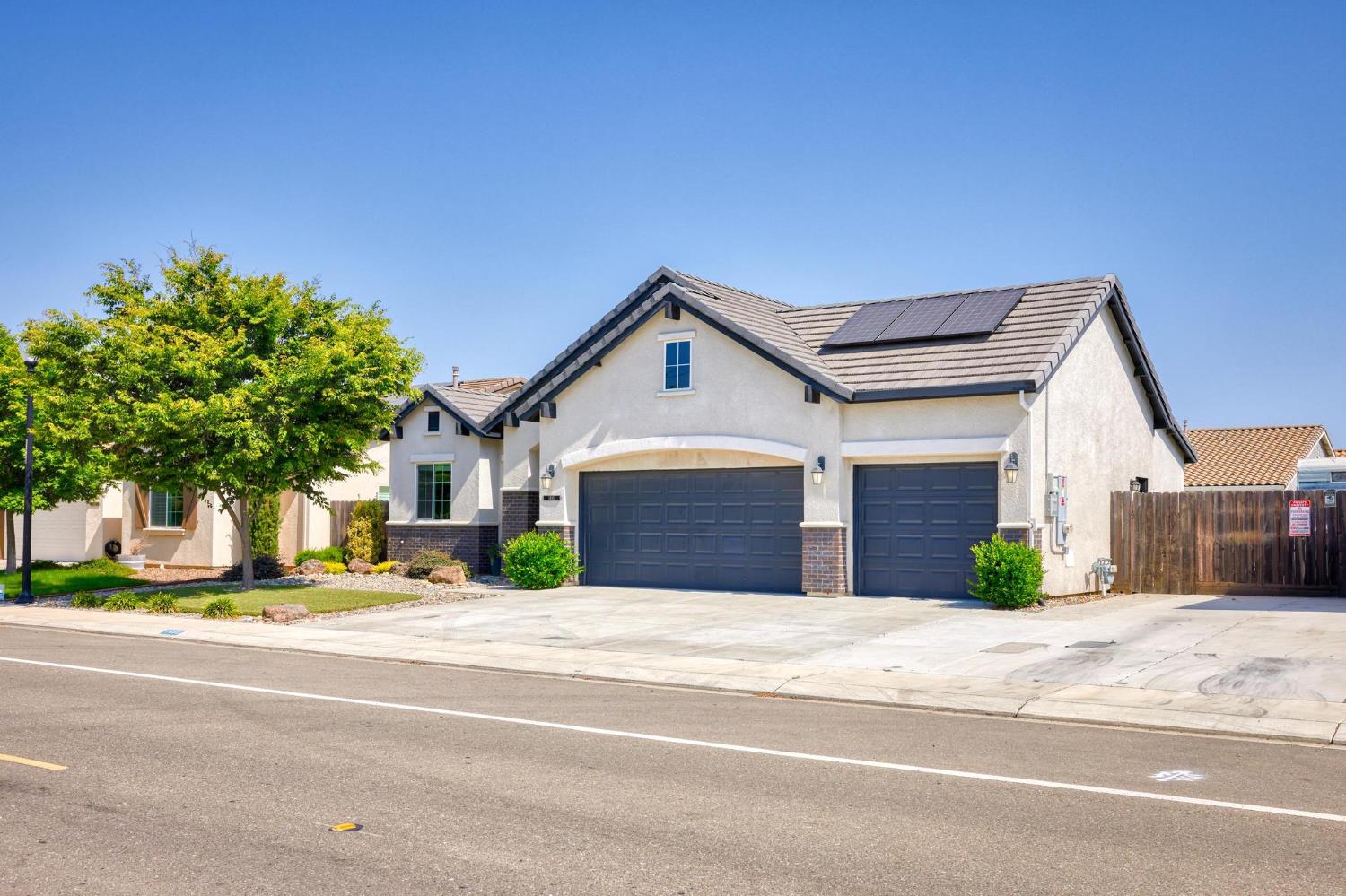 Peach, Manteca, California image 7