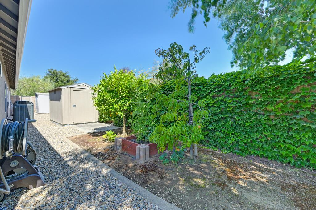 Vienna Drive, Lodi, California image 48