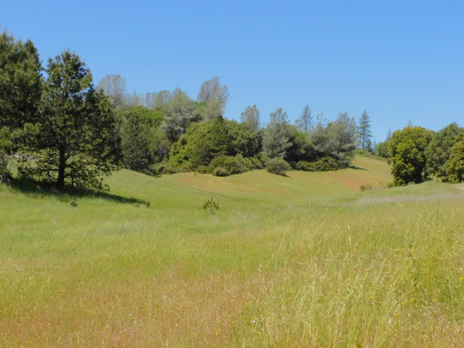 Freshwater Lane, El Dorado, California image 10