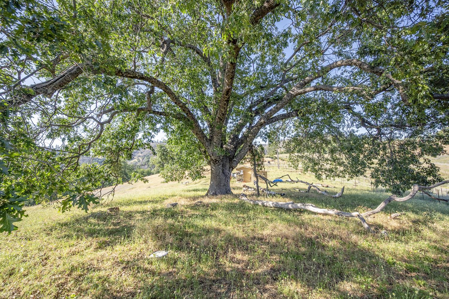 Happy Valley Road, Somerset, California image 26