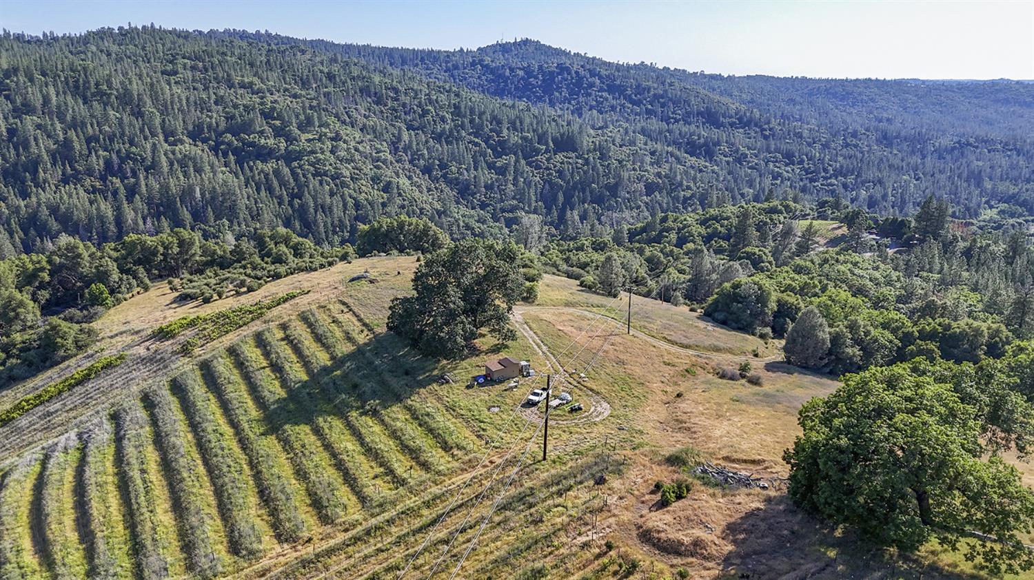 Happy Valley Road, Somerset, California image 8
