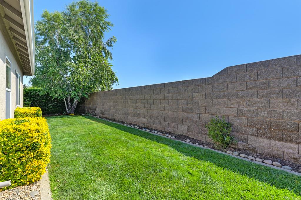 Vienna Drive, Lodi, California image 46