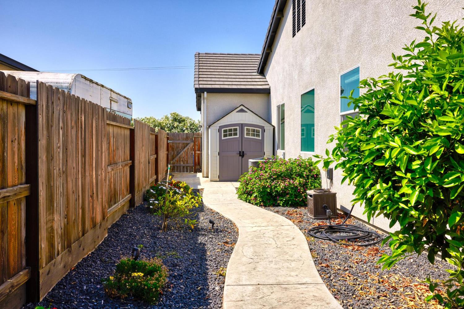 Peach, Manteca, California image 36