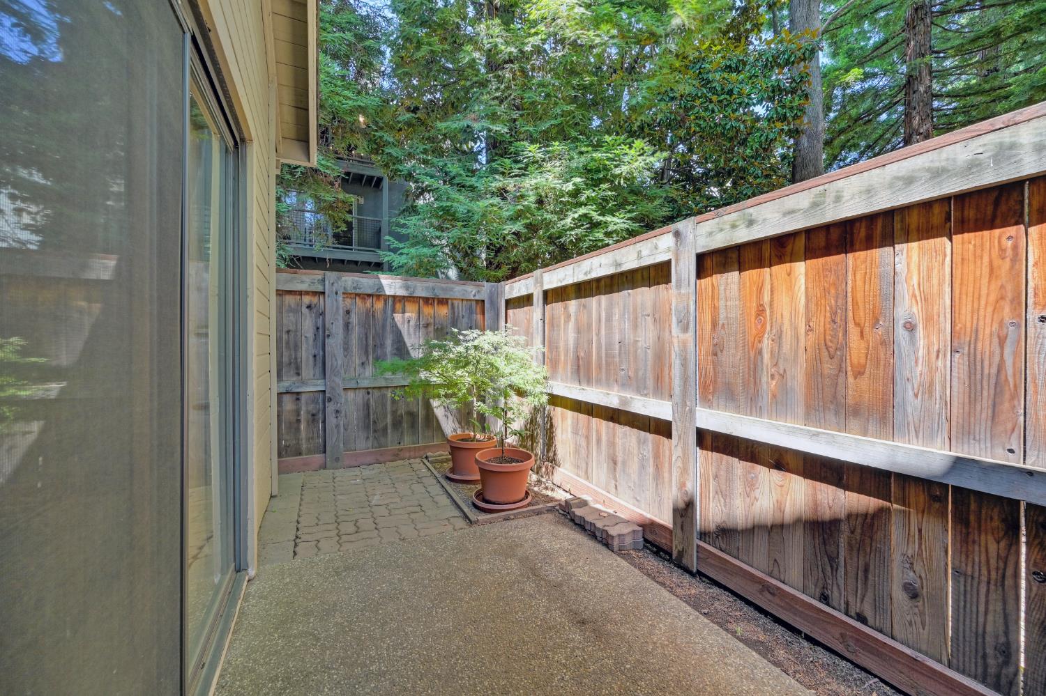Photo #42: 225072238 Listing: Photo #42
