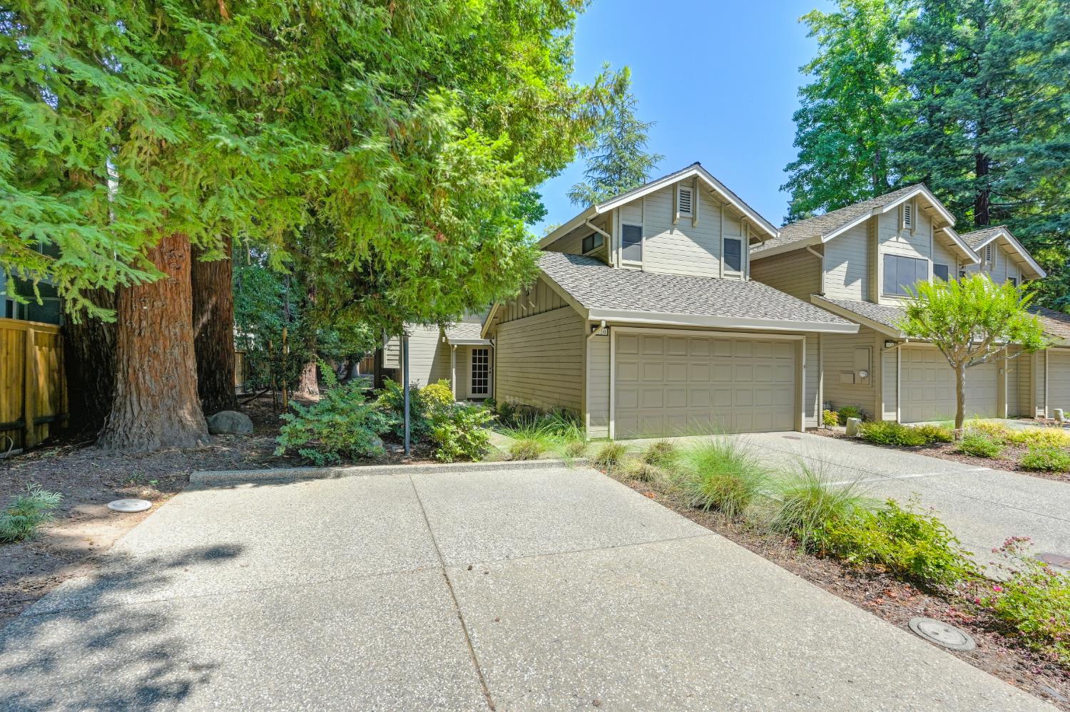Photo #3: 225072238 Listing 