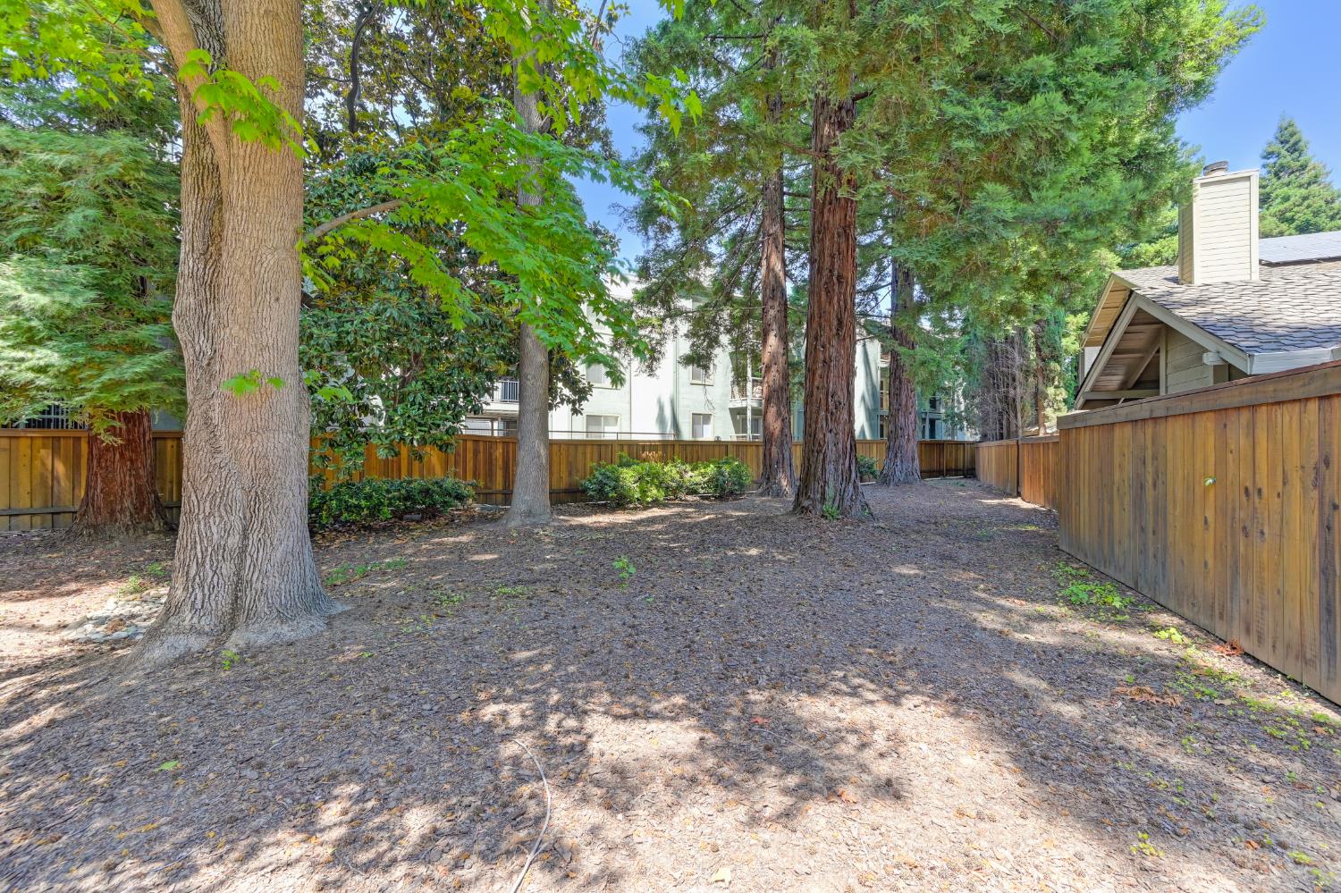 Photo #46: 225072238 Listing: Photo #46