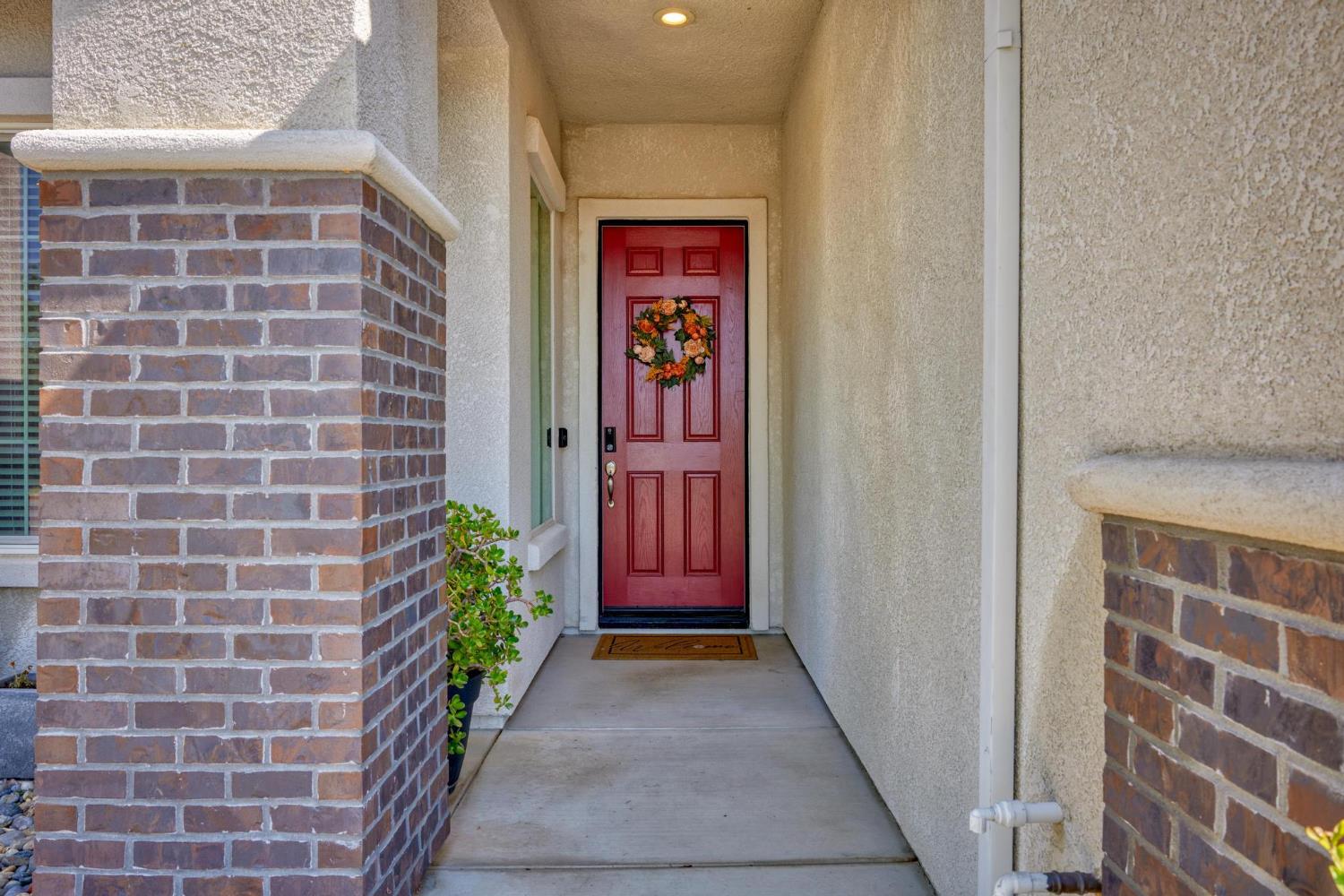 Peach, Manteca, California image 8