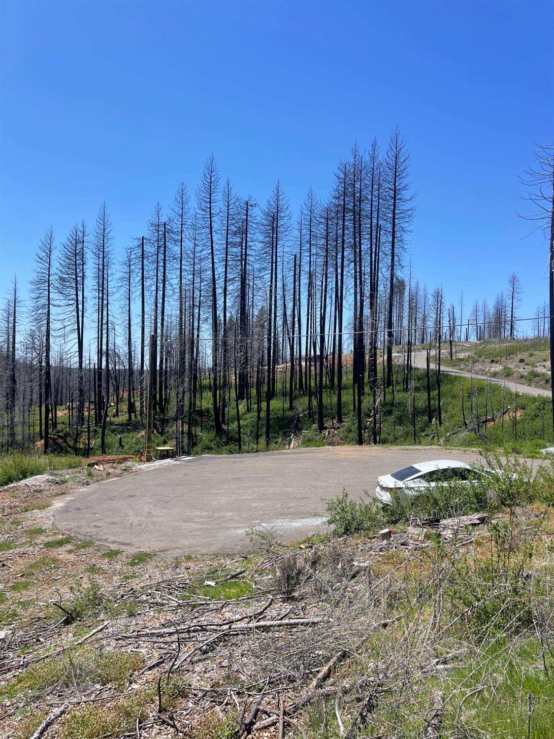 Deerwood Court, Grizzly Flats, California image 1