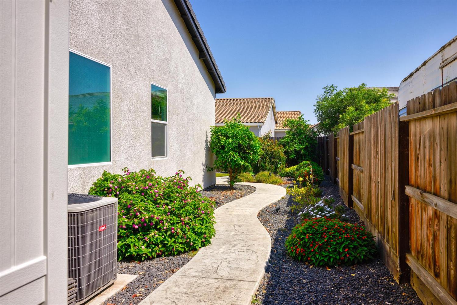 Peach, Manteca, California image 37