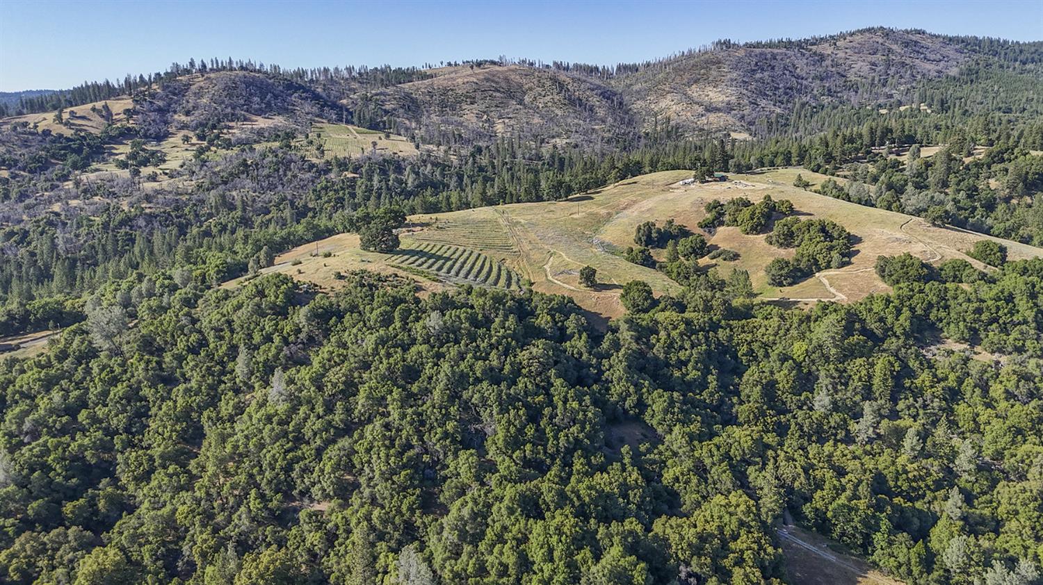 Happy Valley Road, Somerset, California image 30