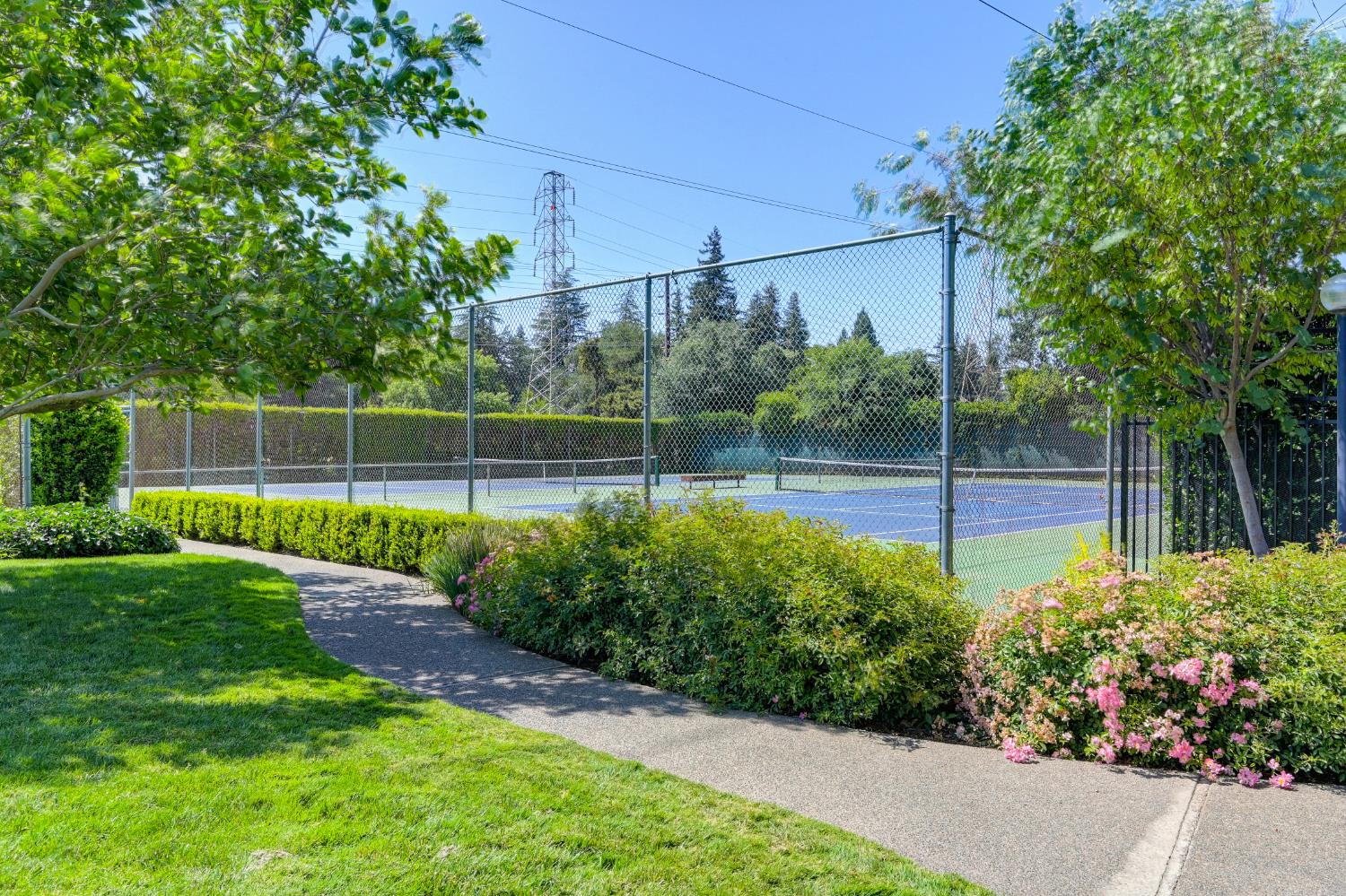 Photo #52: 225072238 Listing: Photo #52