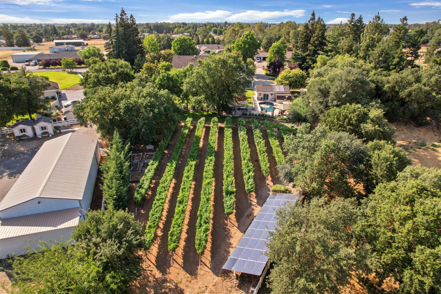 Detail Gallery Image 73 of 74 For 24646 Meadow Creek Ct, Acampo,  CA 95220 - 4 Beds | 4/1 Baths