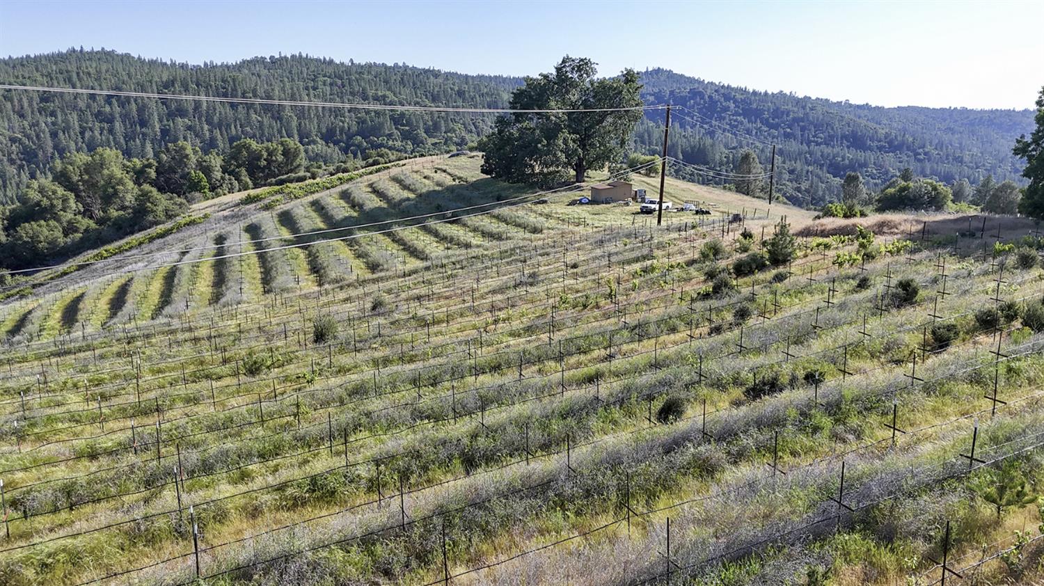 Happy Valley Road, Somerset, California image 15