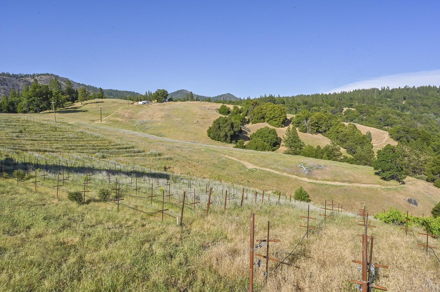 Happy Valley Road, Somerset, California image 43